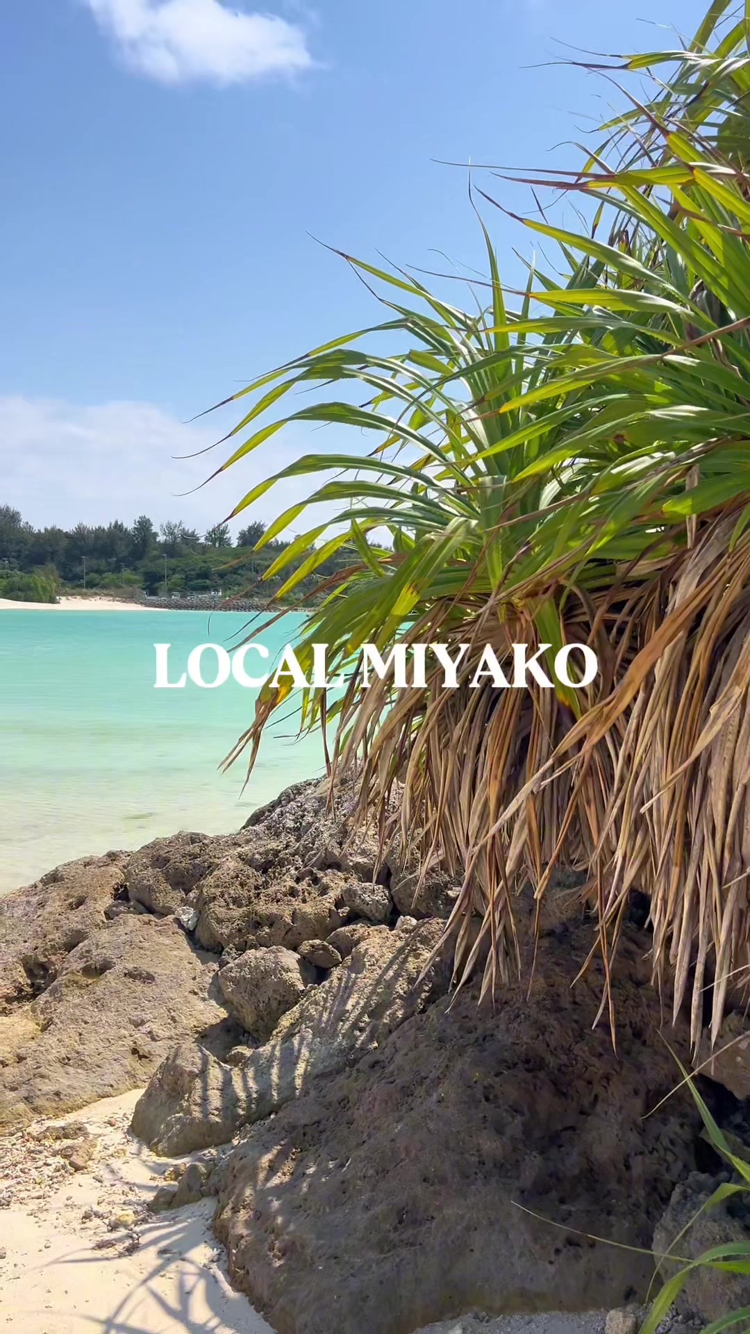 @おいでよ宮古島🏝️