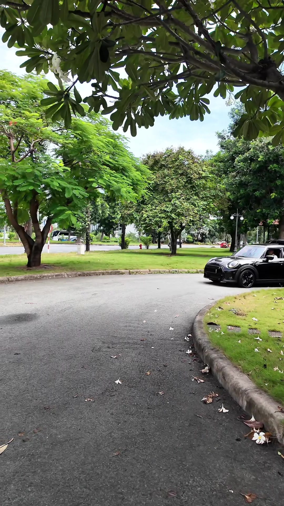 @TÂN XE LƯỚT