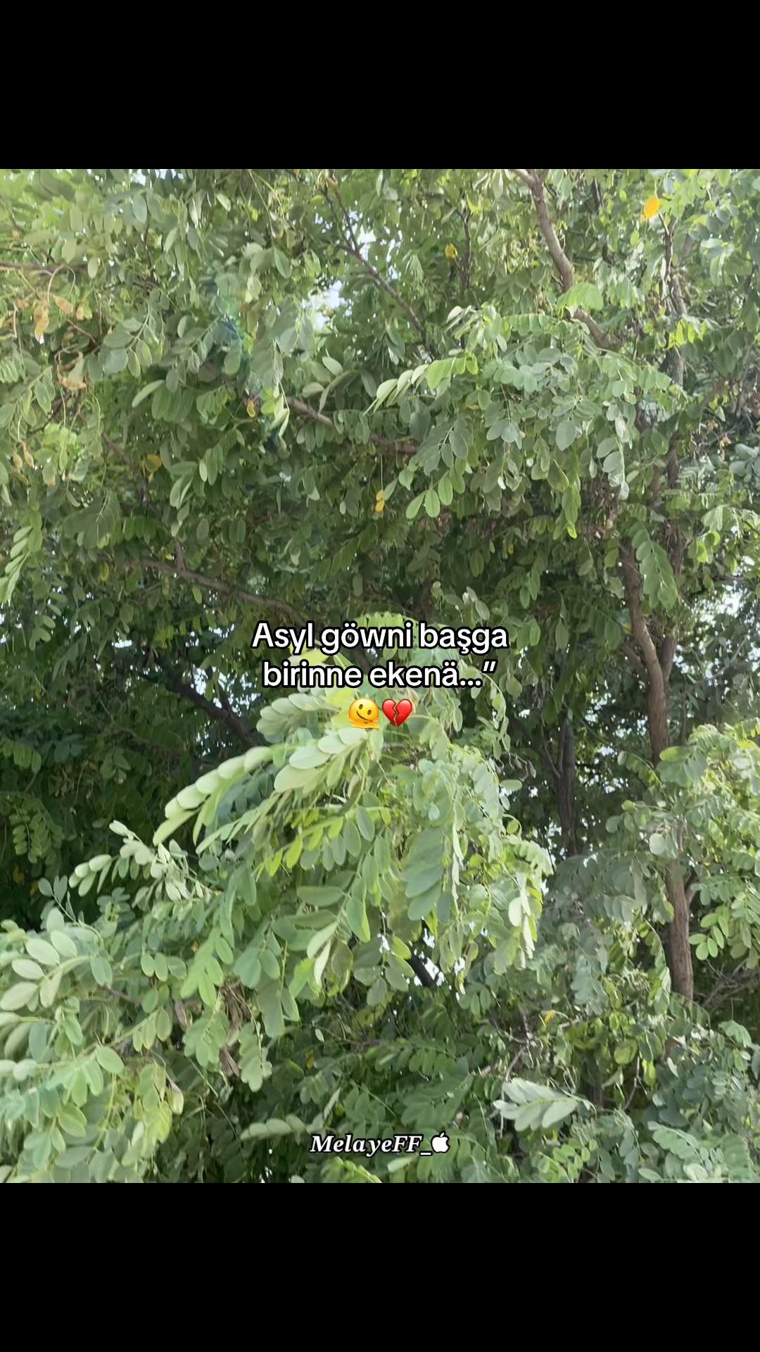 @๐ด๐๐๐๐๐๐ญ๐ญ_๏ฃฟ