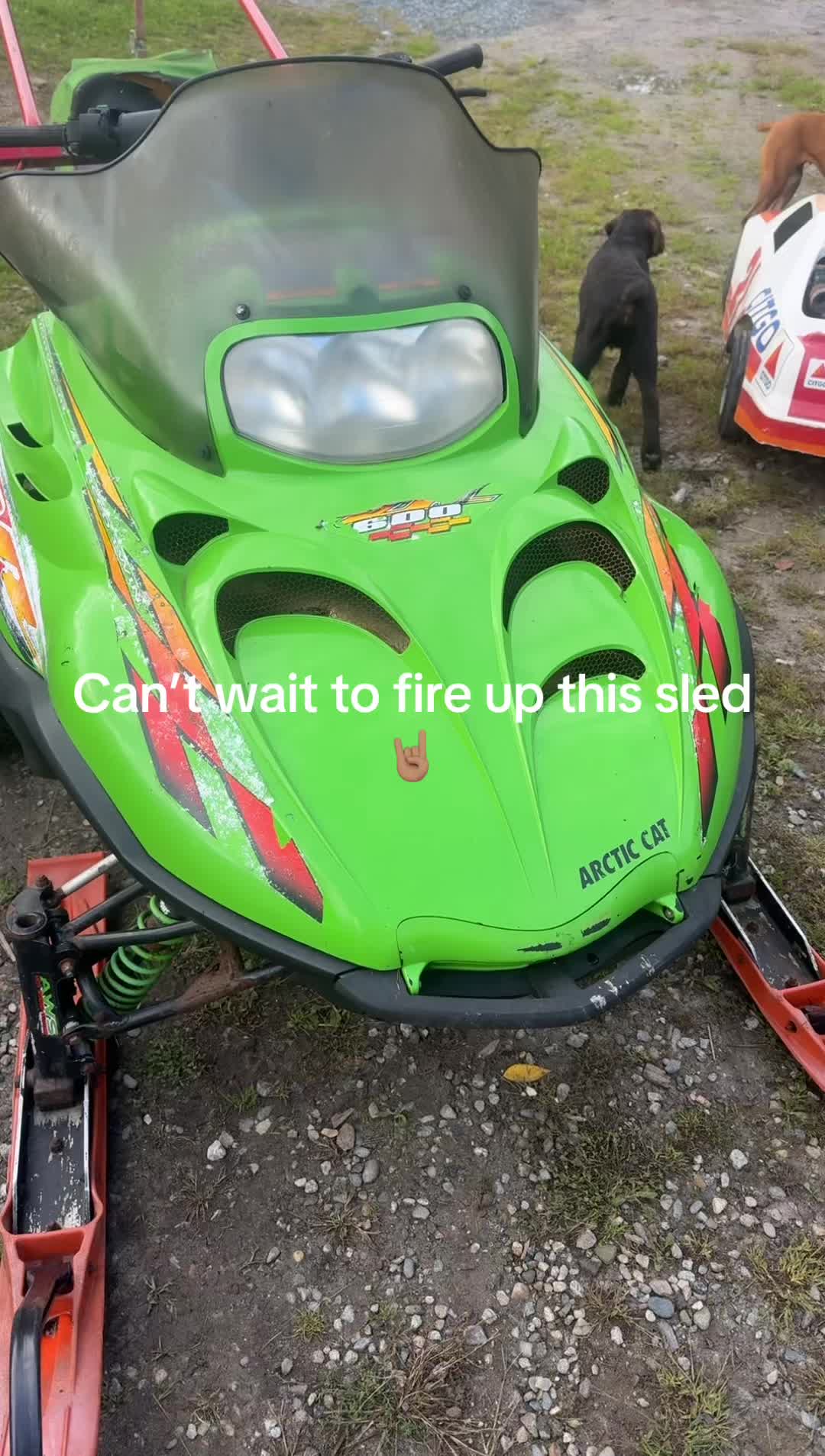 @Arcticcatmatt