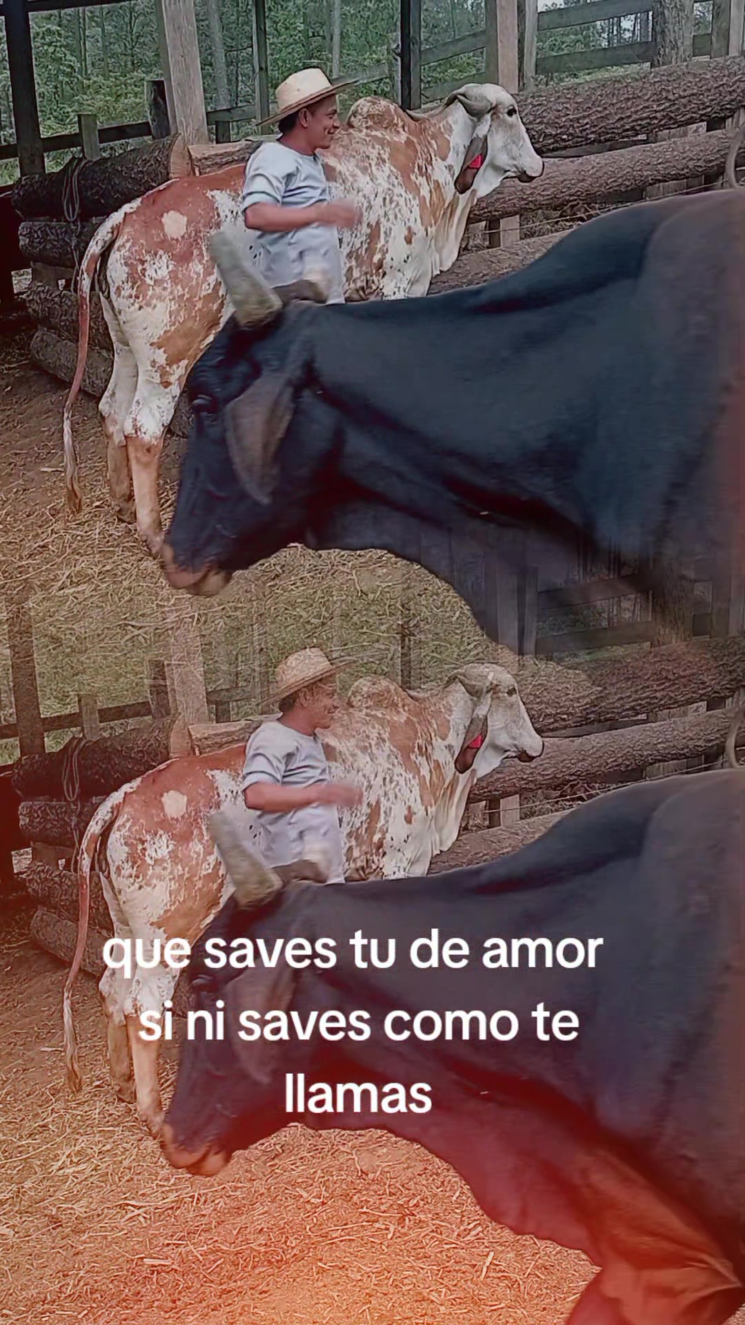 @🌷🦉.. David..🦝🦇