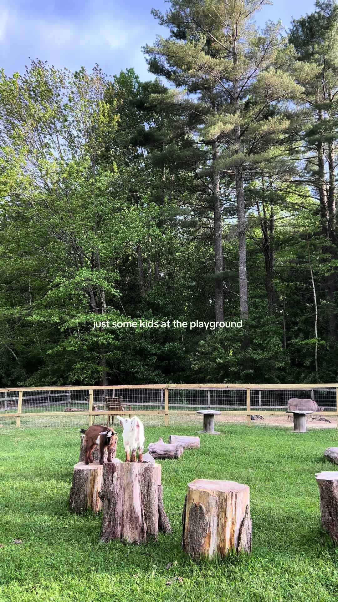 @Ri