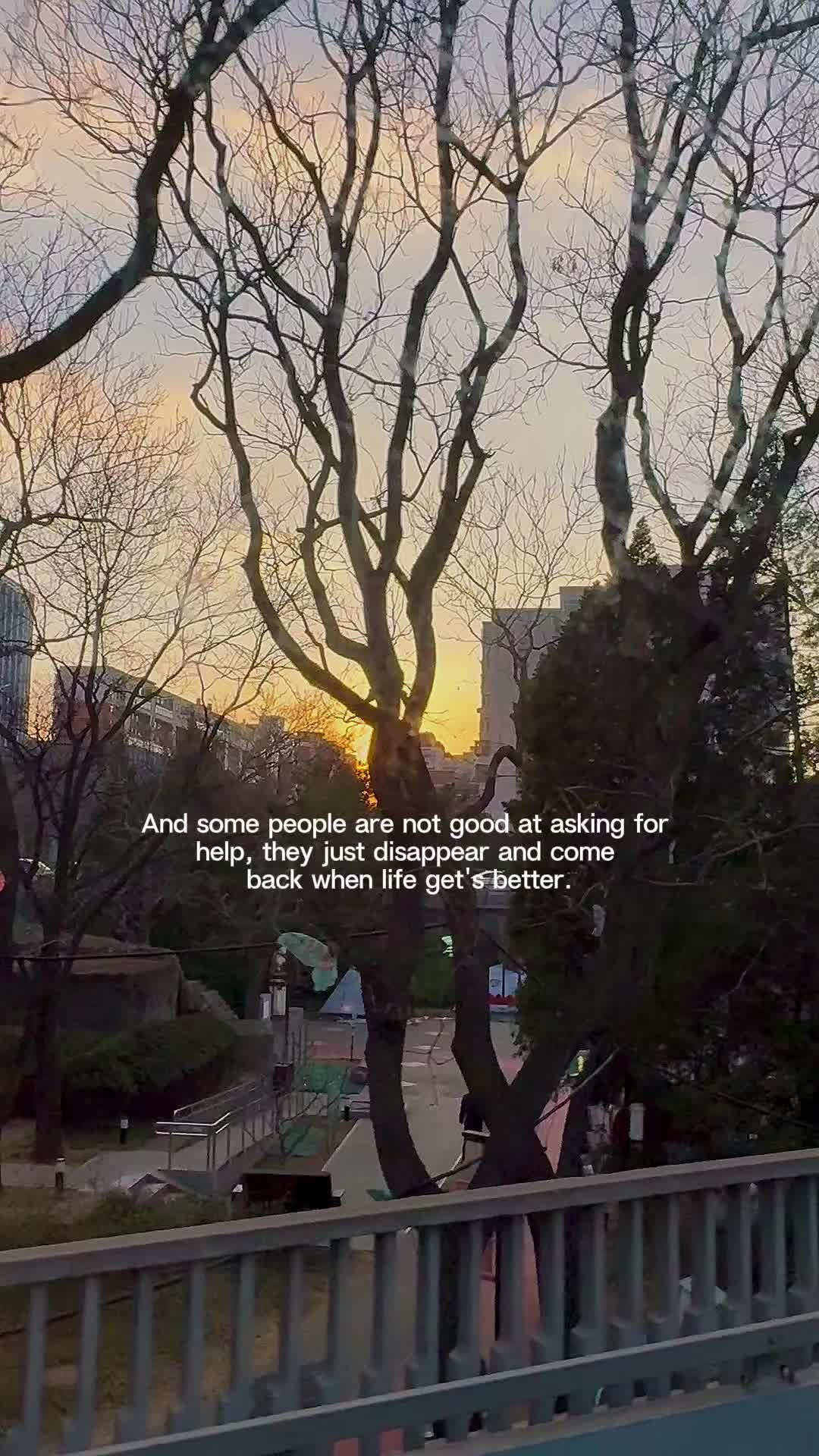 @michikaixi