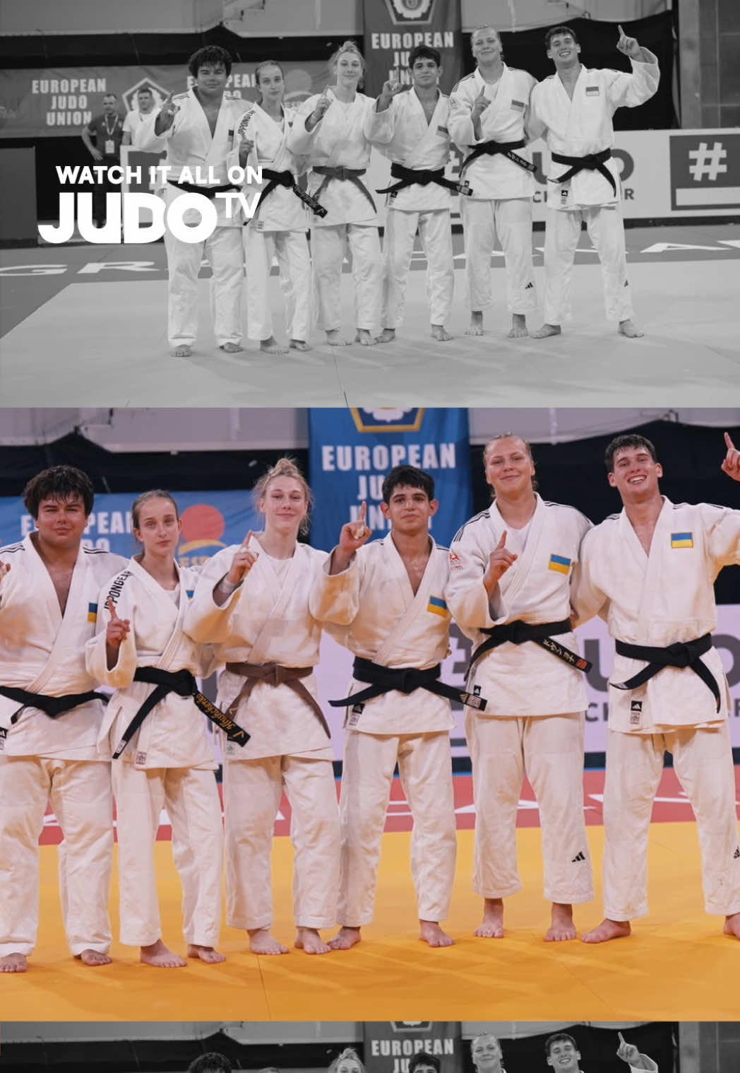 @European Judo Union