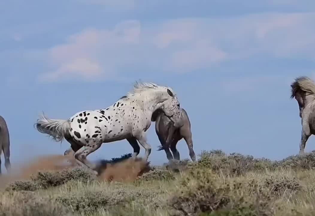 @1%