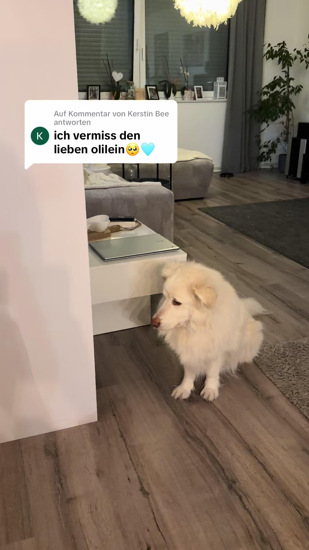 @🧚&zwj;♀️fraulein_flausenimkopf✨