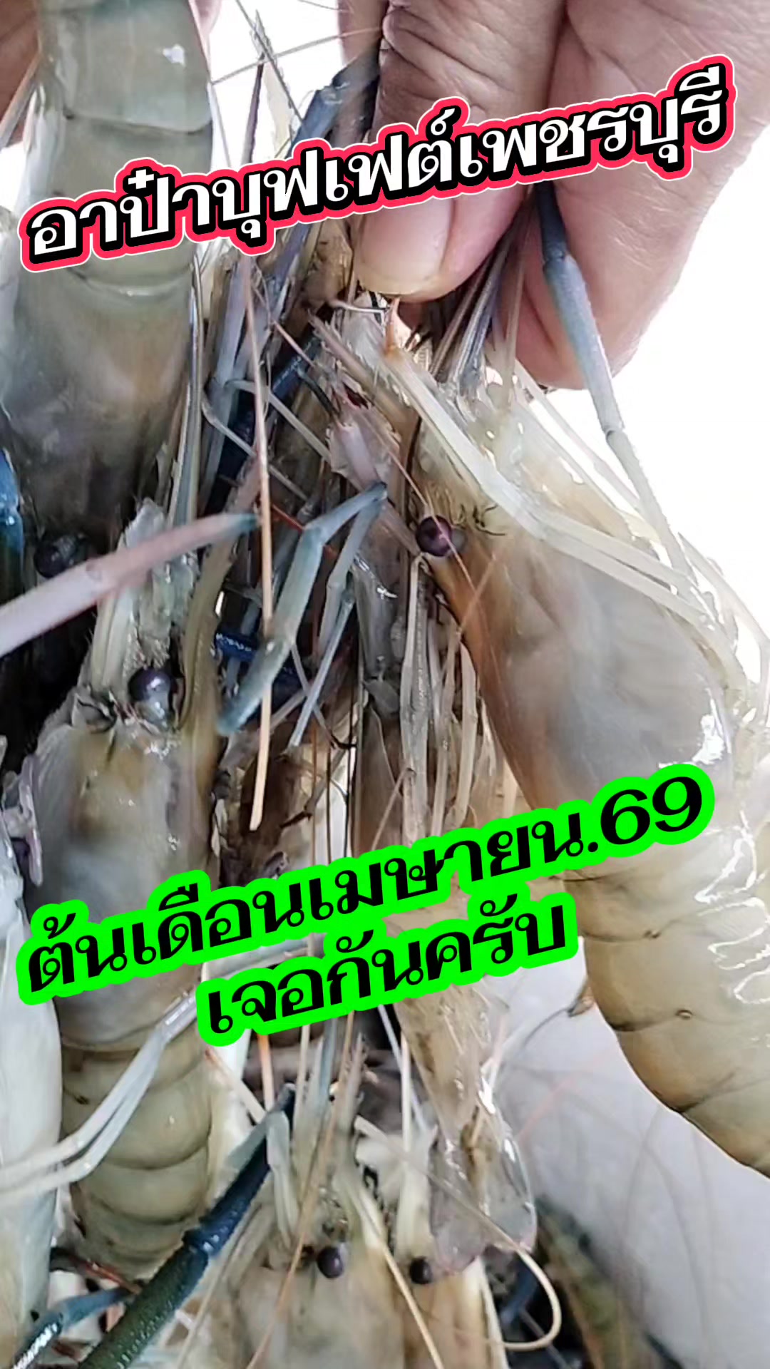 @อาป๋าบุฟเฟต์หมูกระทะ