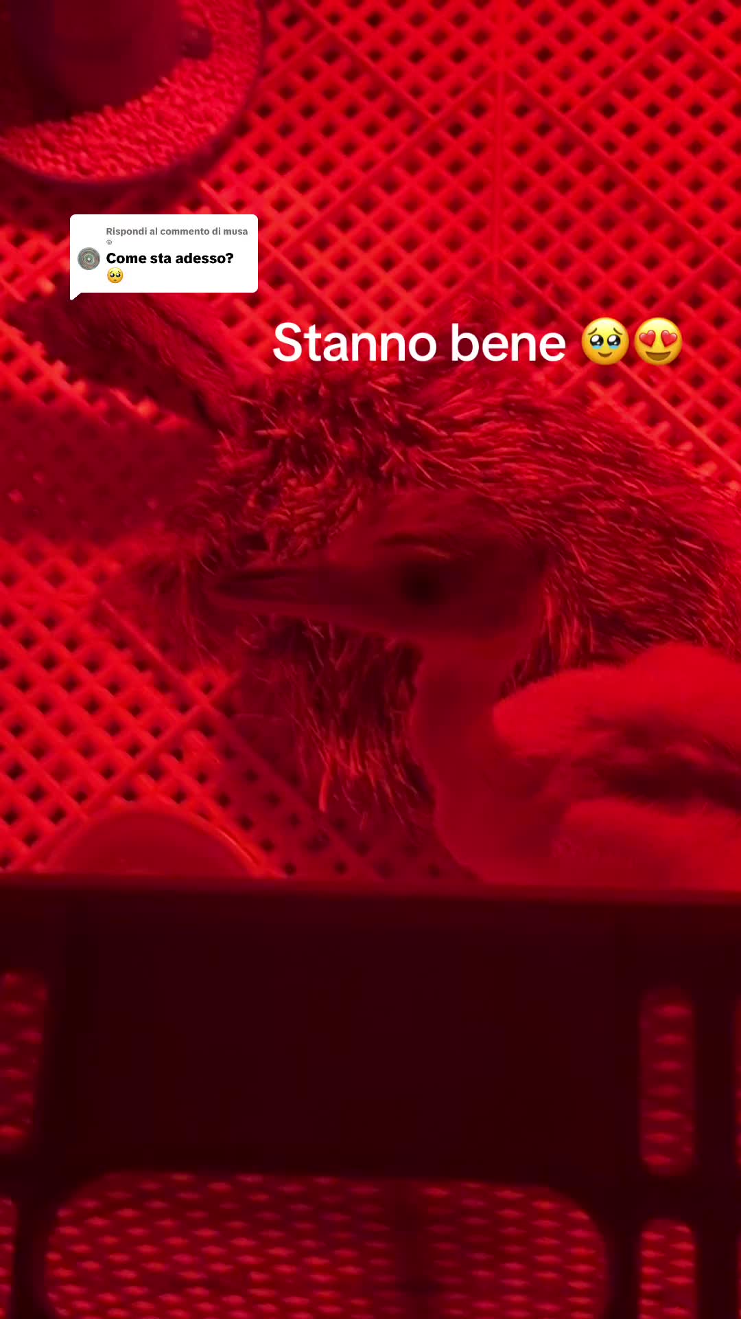 @BarnBeauty_M.S.