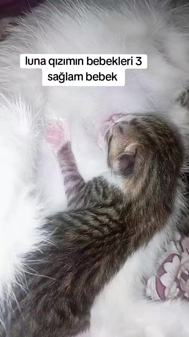 @yalniz_motorcu_25