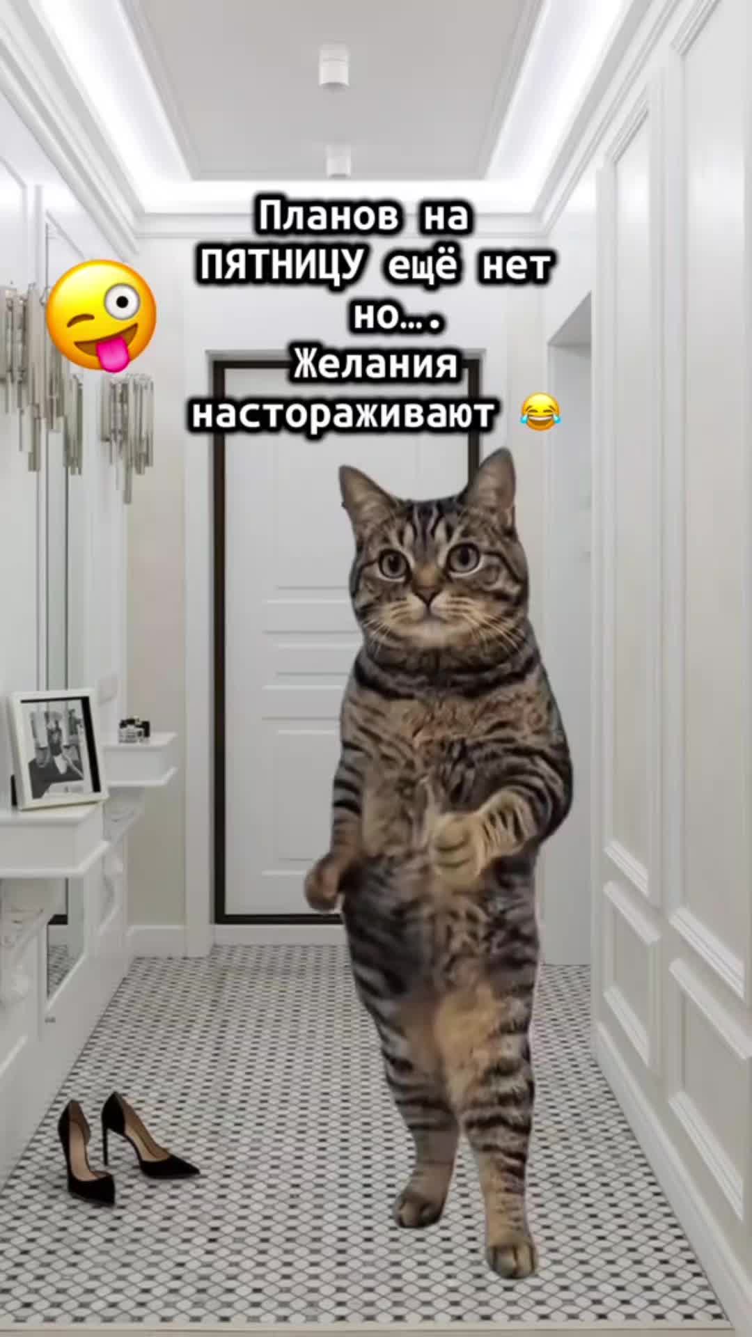 @Tetiana