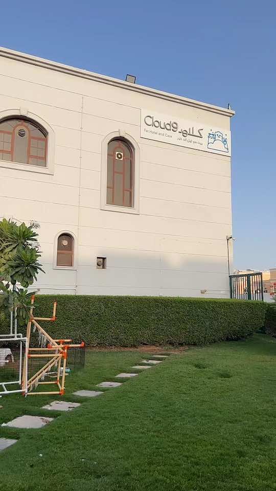 @Afra Al-Dhaheri