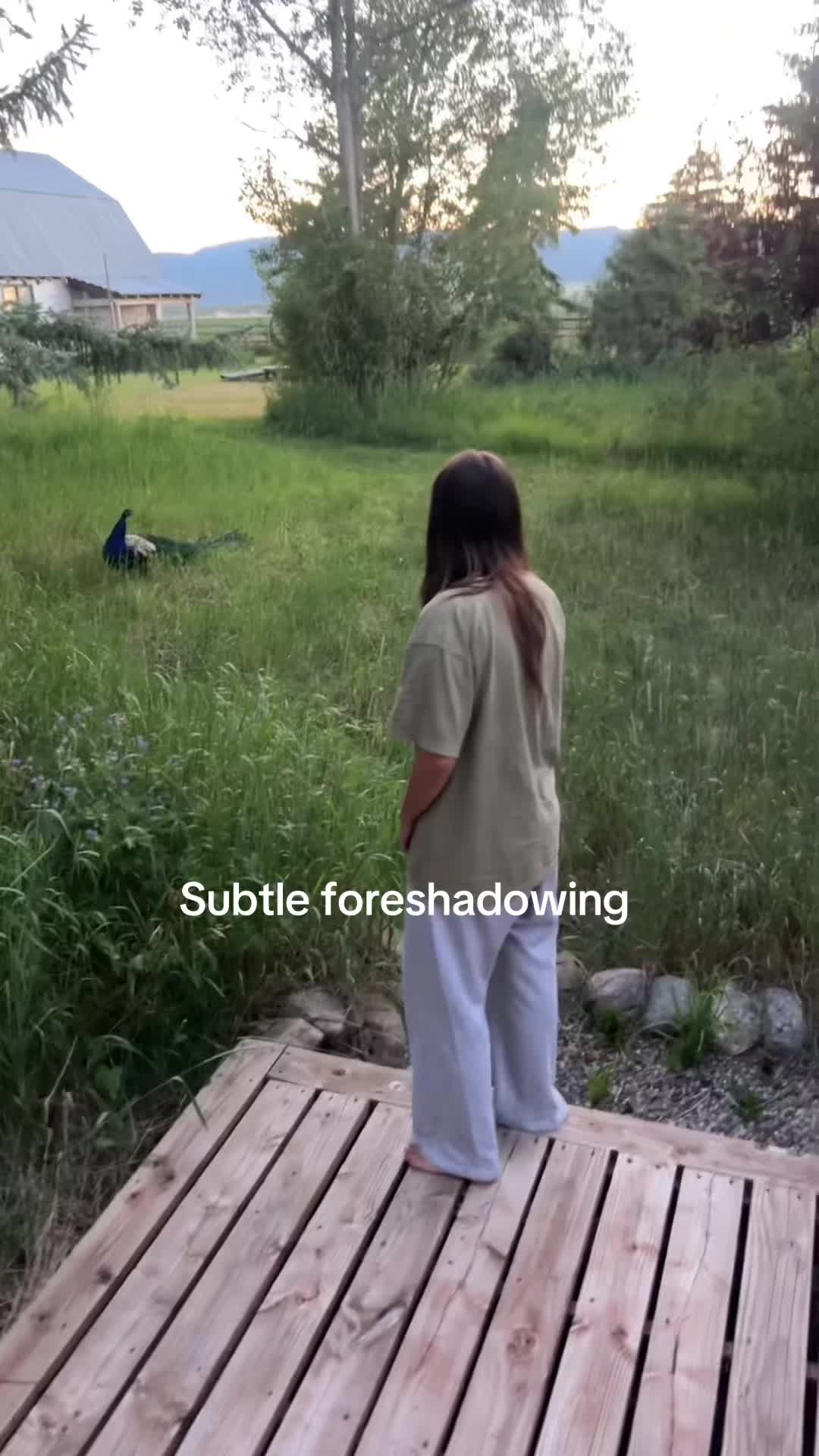 @lawlynnava