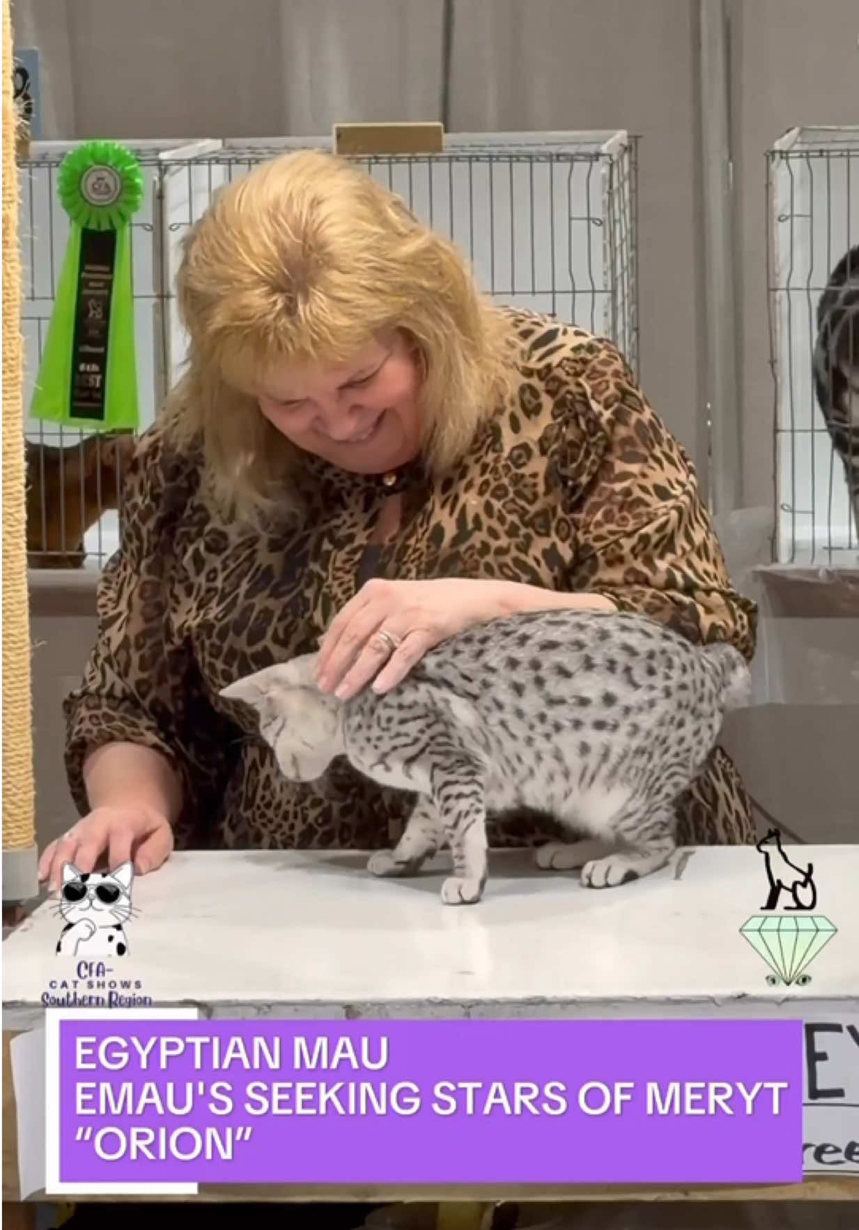 @NewVisionCatClub