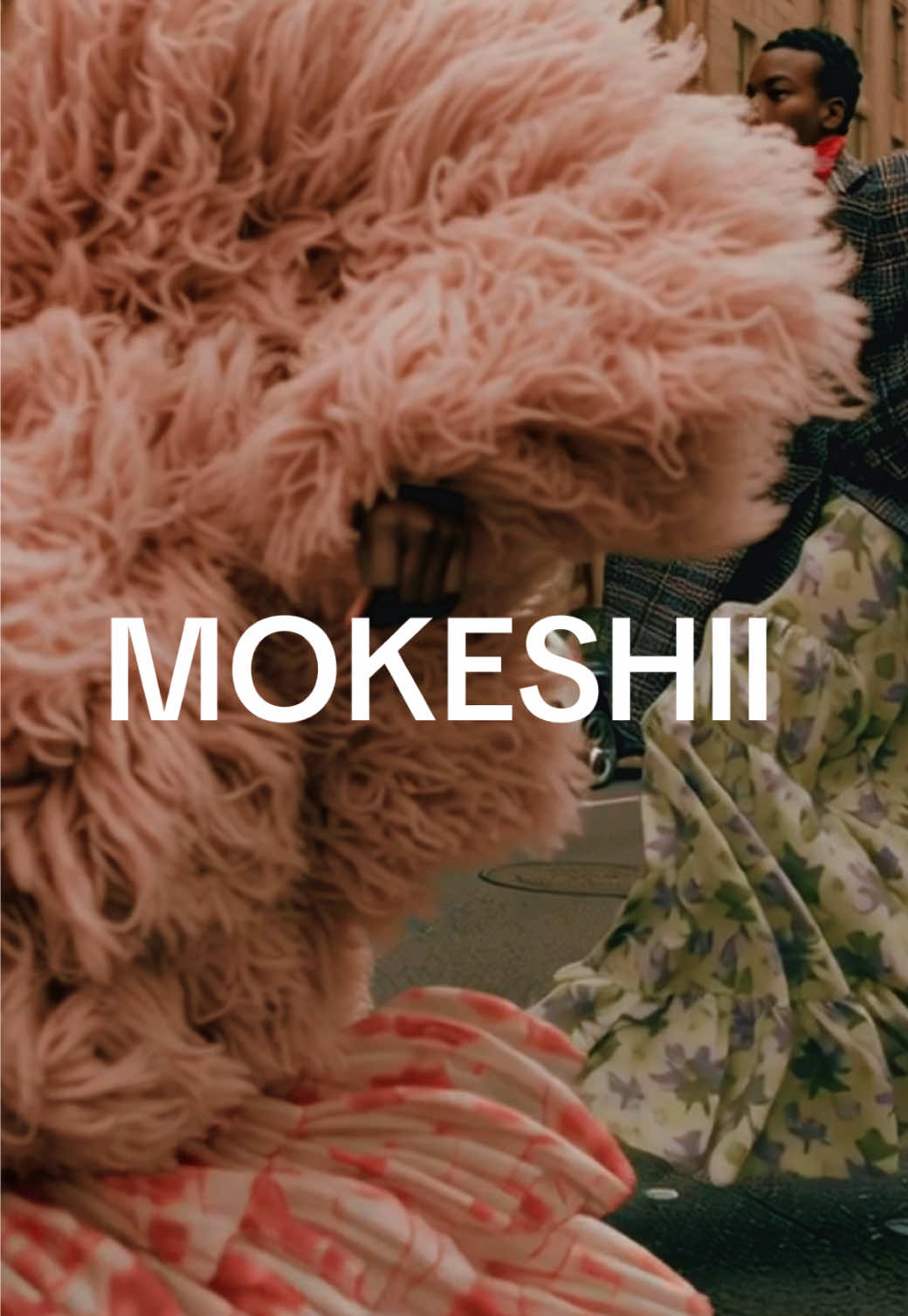 @MOKESHII