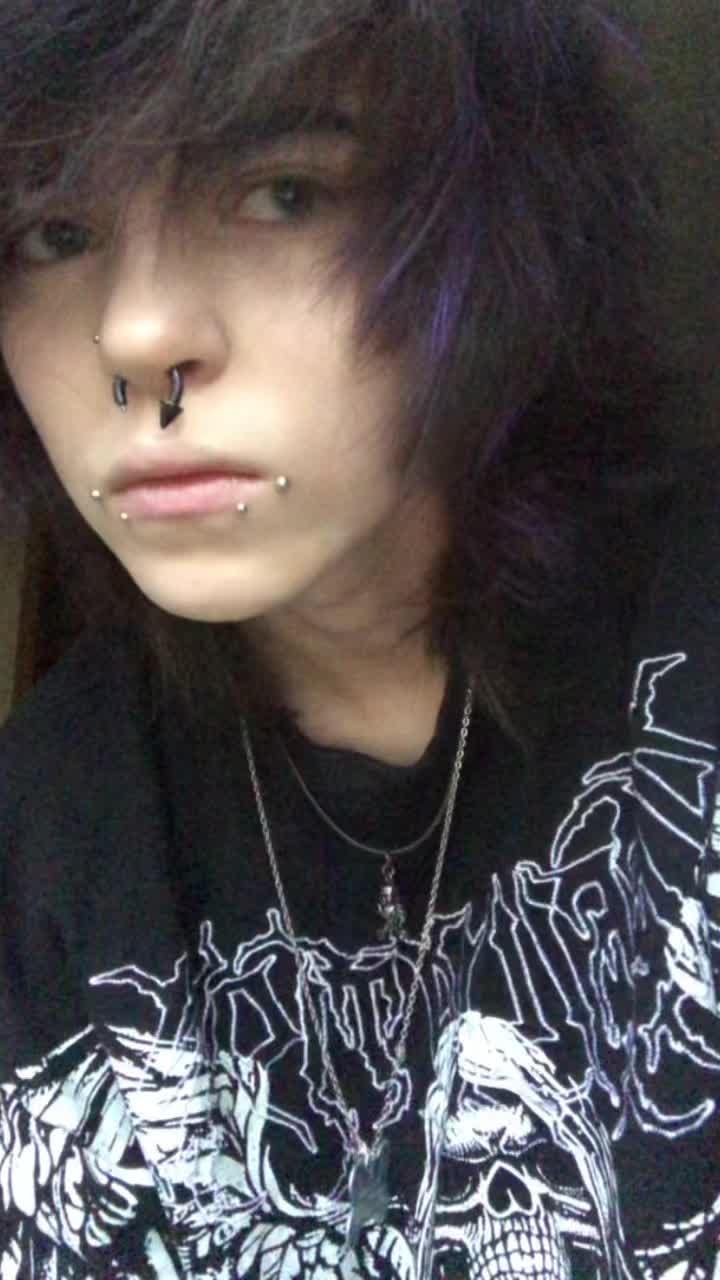 @Pup.brains