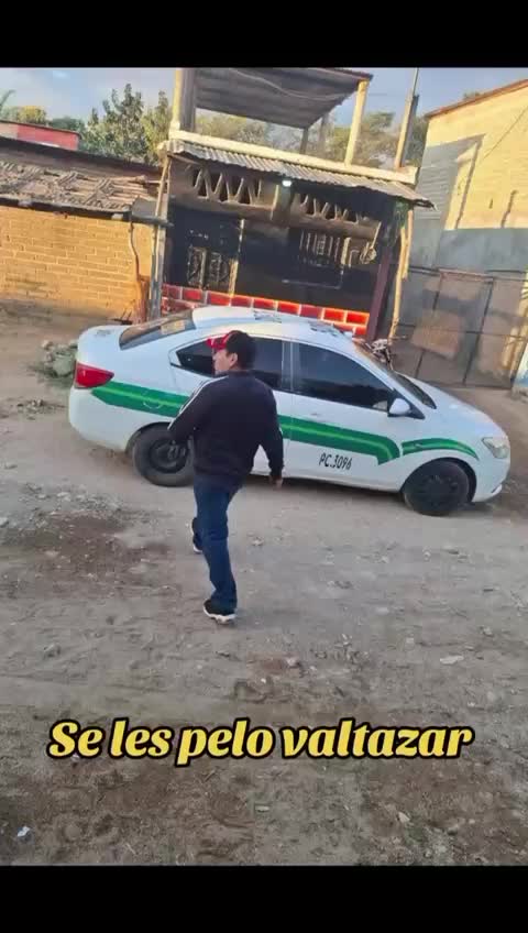 @El sic&oacute;logo de la garza