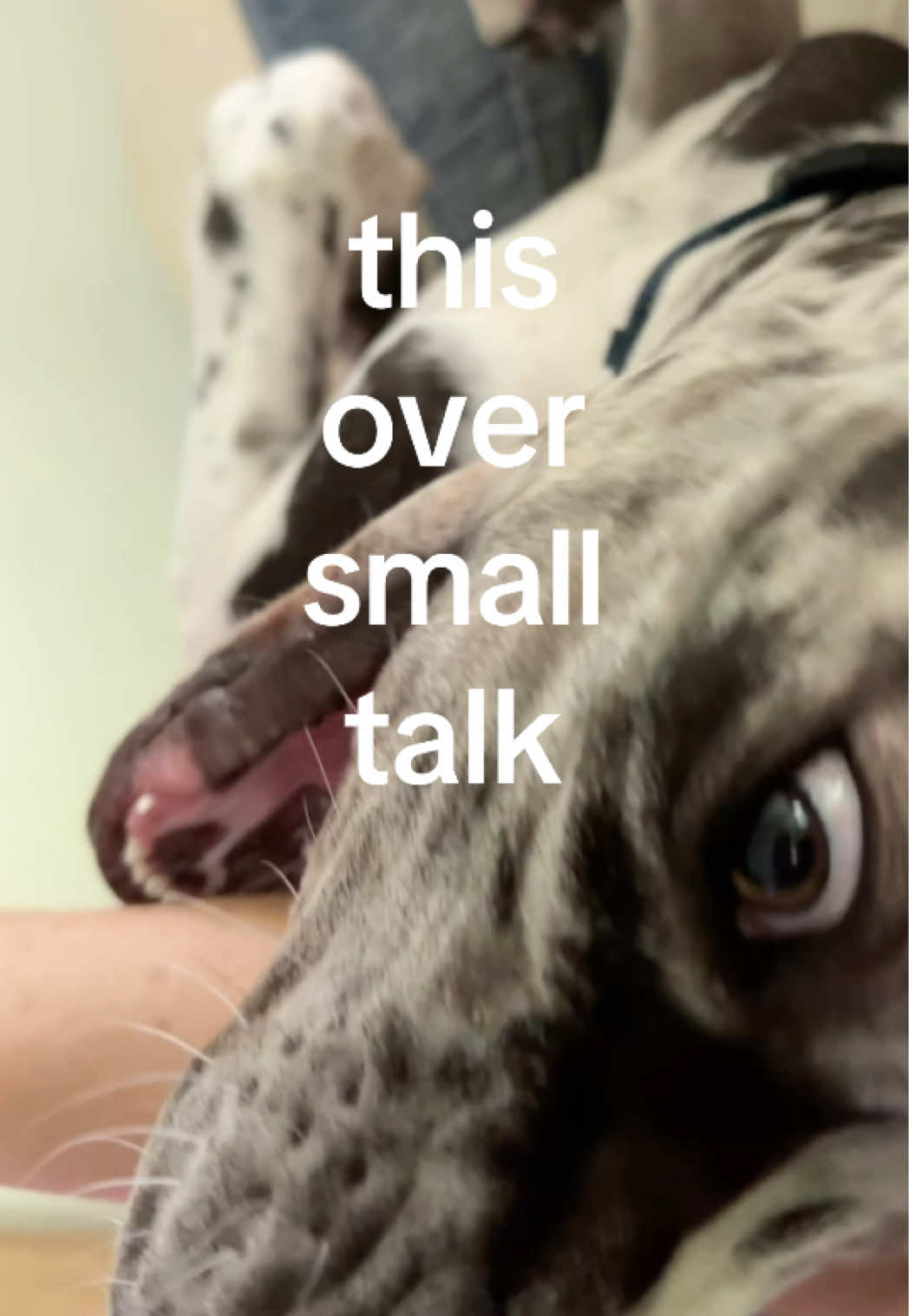 @Milo + Mo