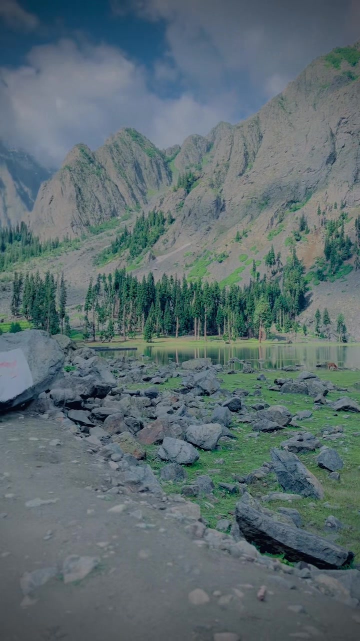 @دل والے🚩✨