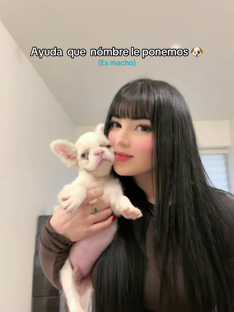 @grachilez