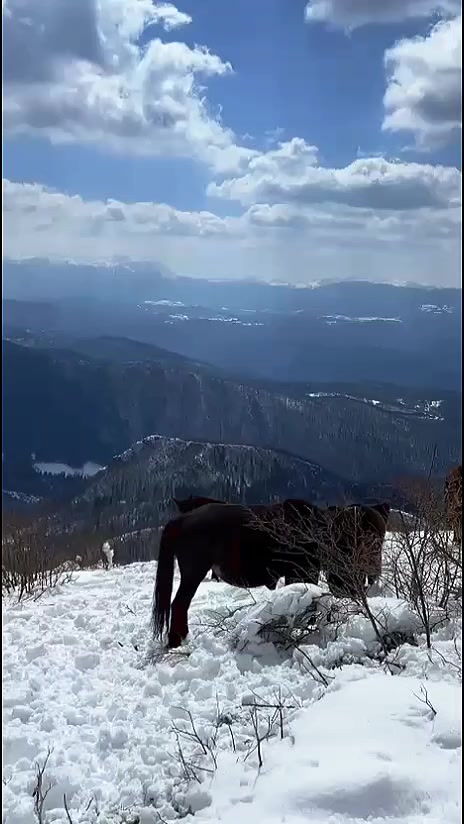 @Only Fools and Hikers