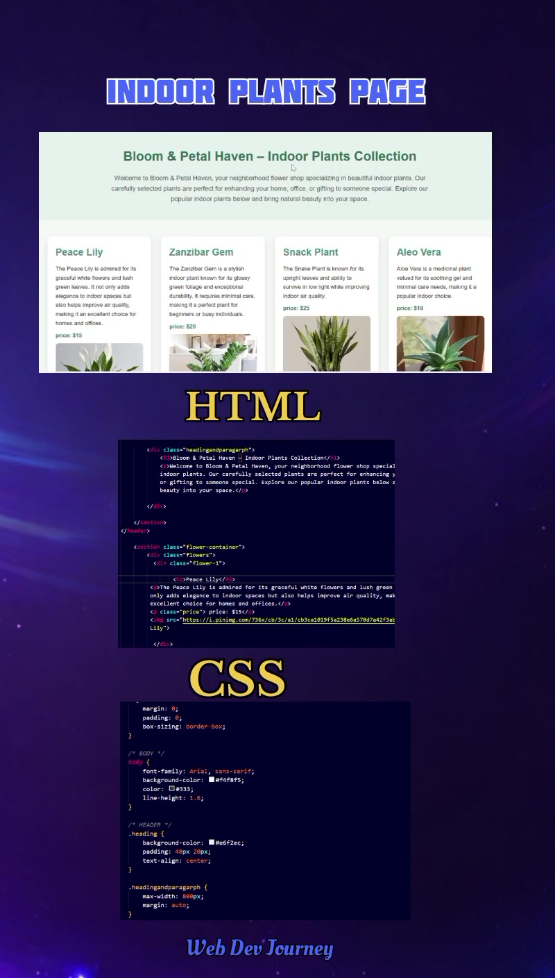 @Web Developer