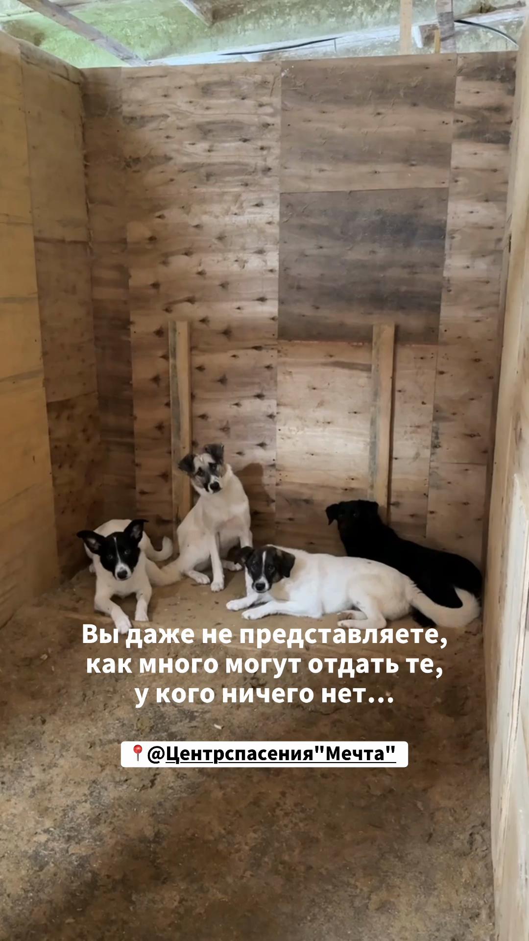 @o.alekseeva