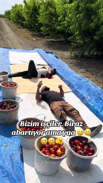 @ZAGOR _13_72🦅