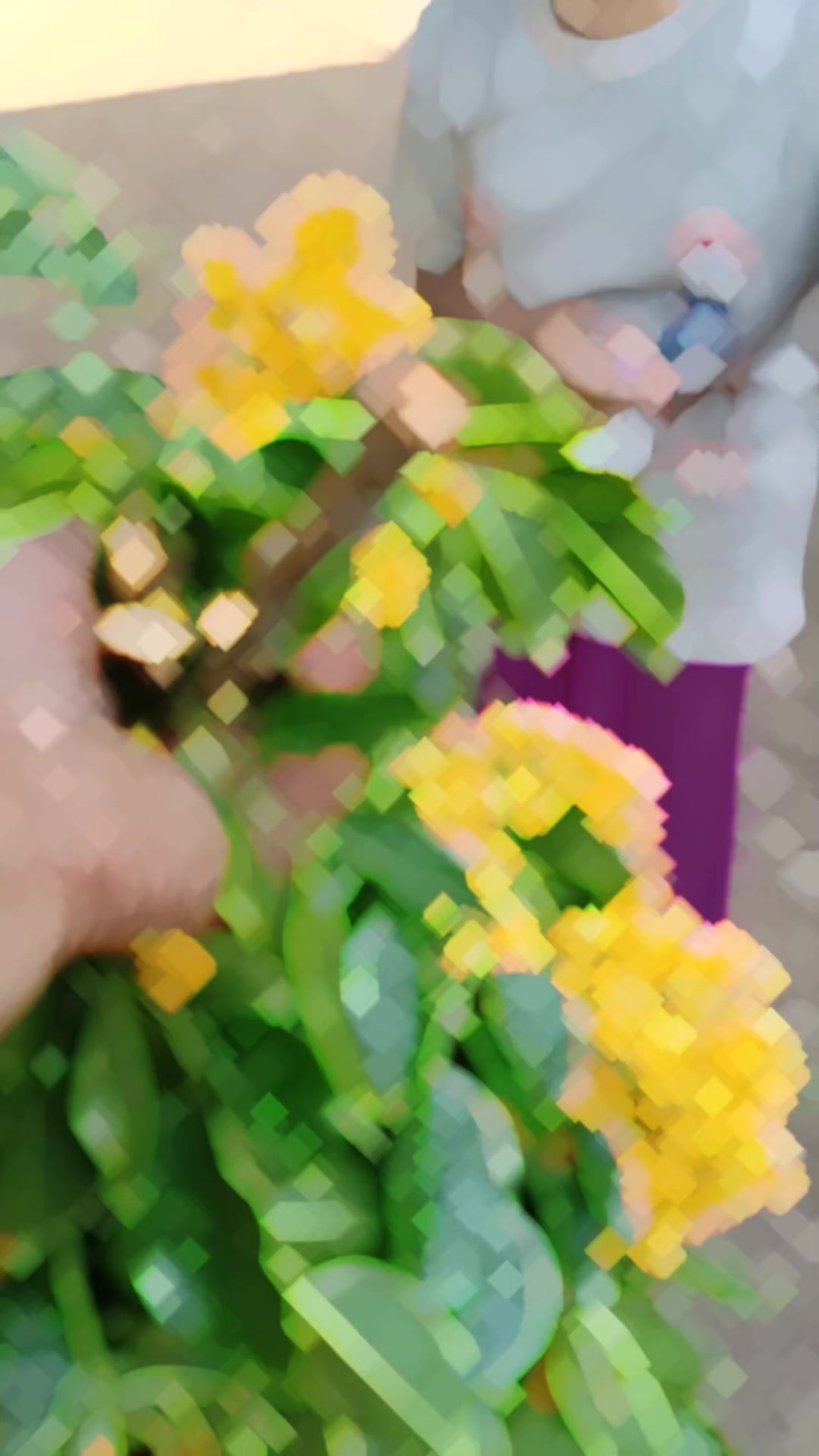 @ð K. M. P.ð