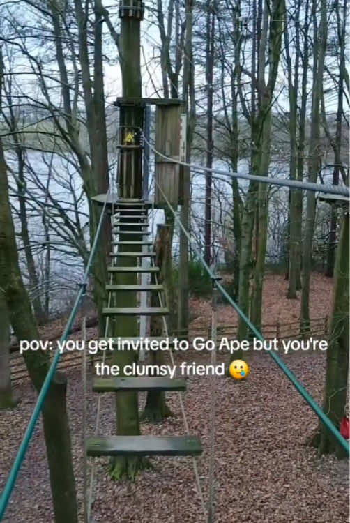 @Go Ape Rivington
