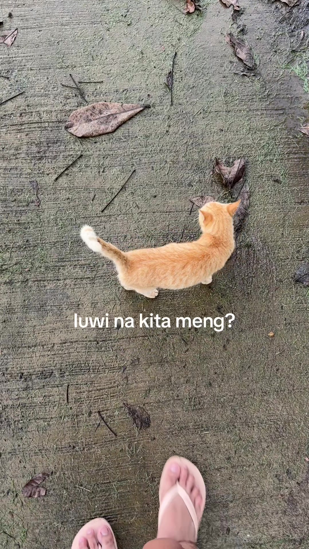 @@WizeEstabillo