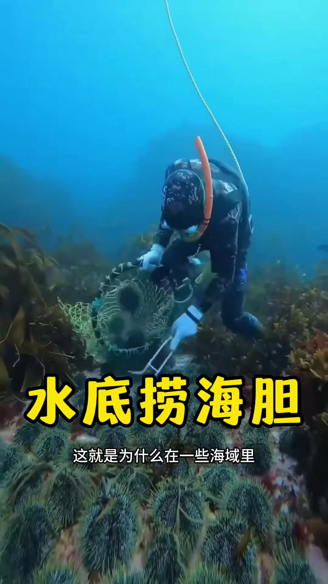 @云端笑视