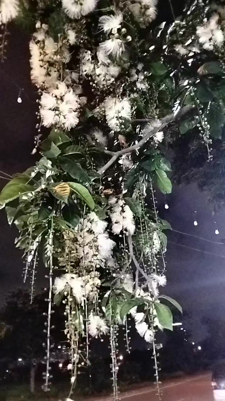 @Bđs Dự án- Đất Nền Toàn quốc