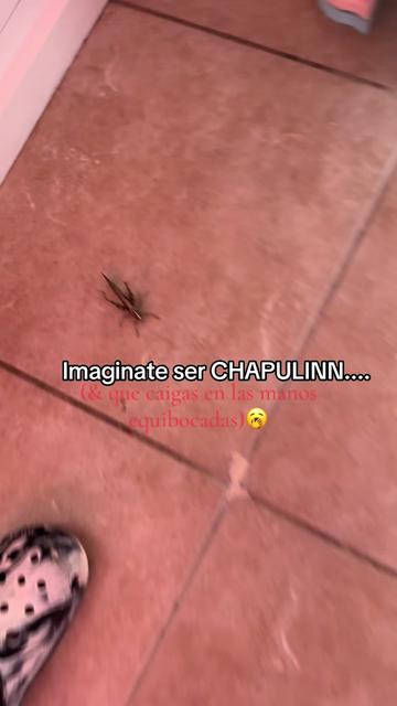 @Viridianaaa✨
