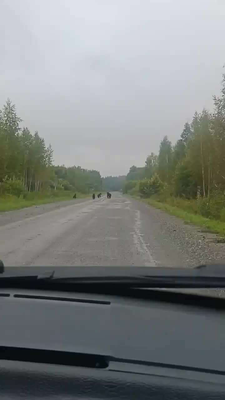 @Татьяна Анатольевна 🤗🥰😊