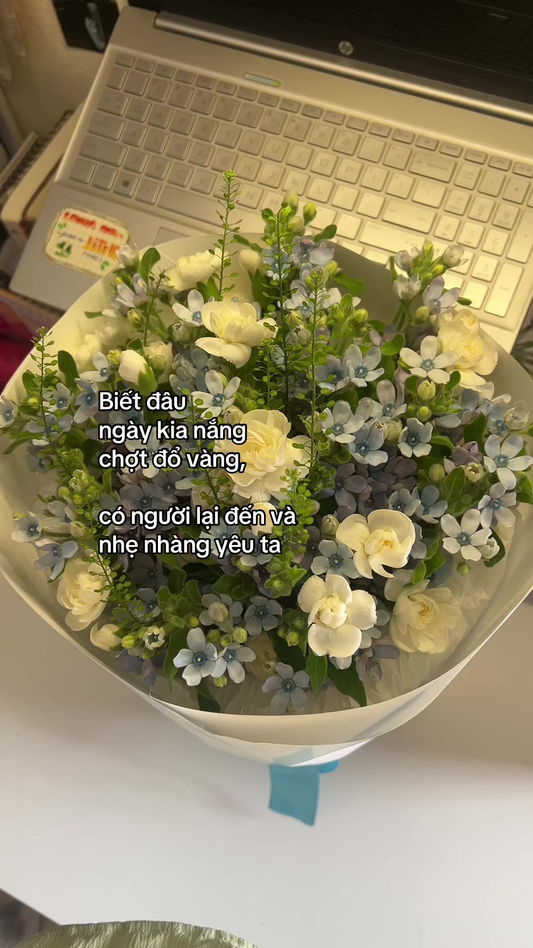 @Tiệm hoa Flora