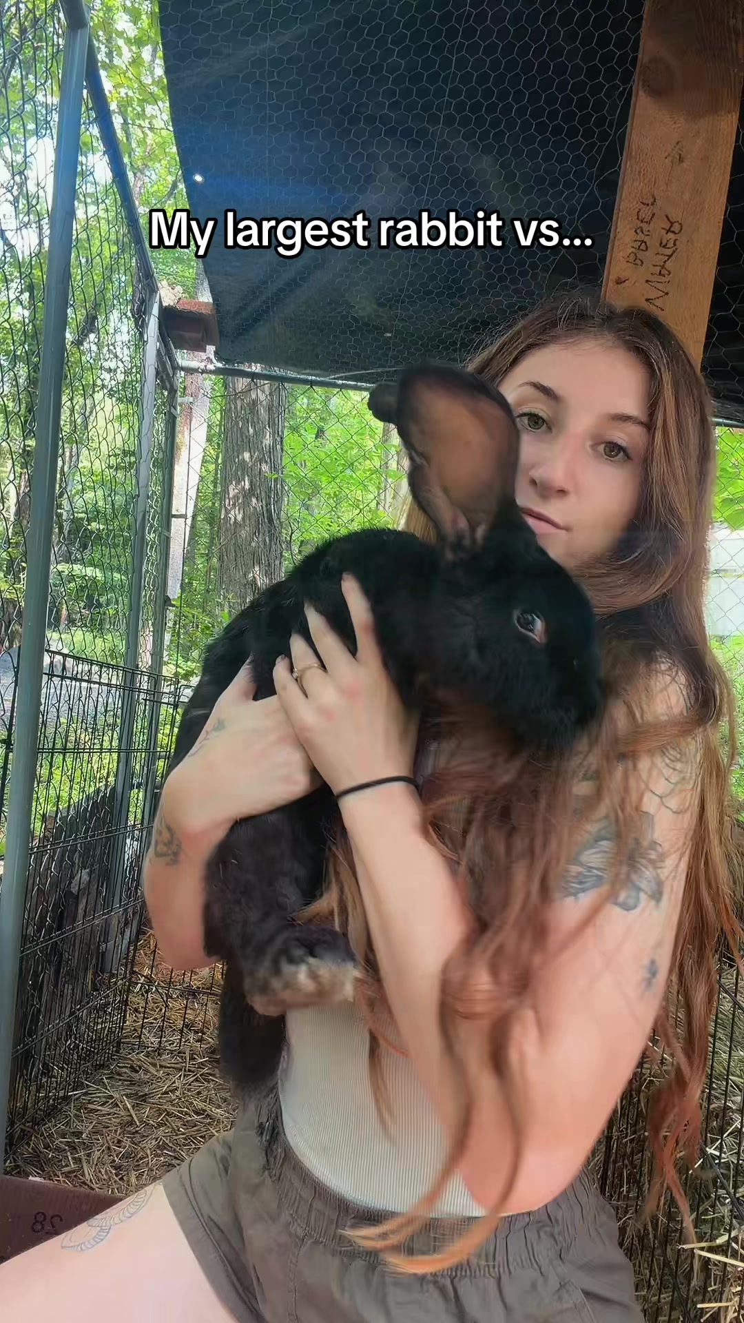 @Exotic Animals with Amanda