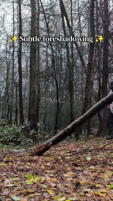 @MrG__