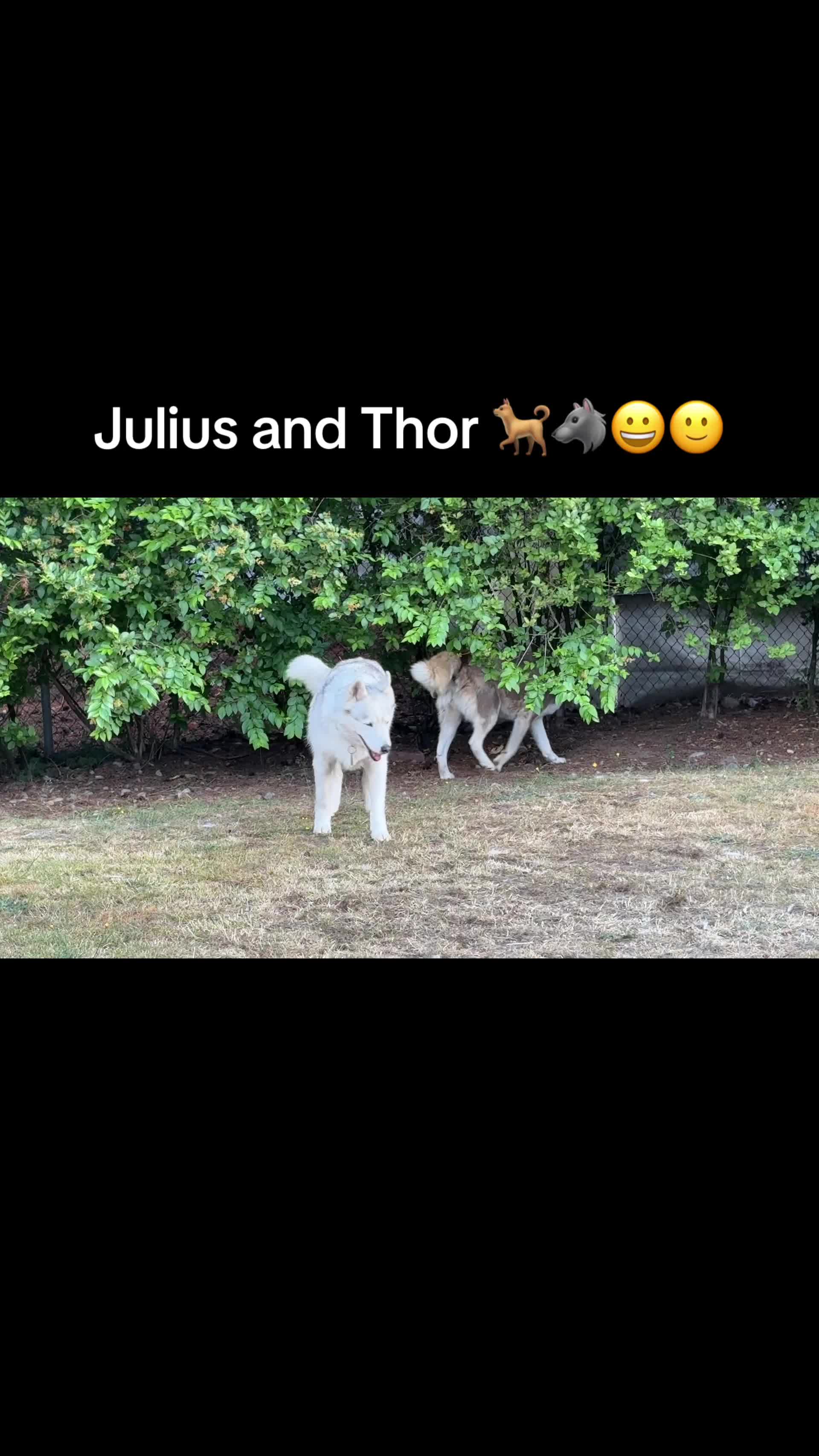 @janolouis95