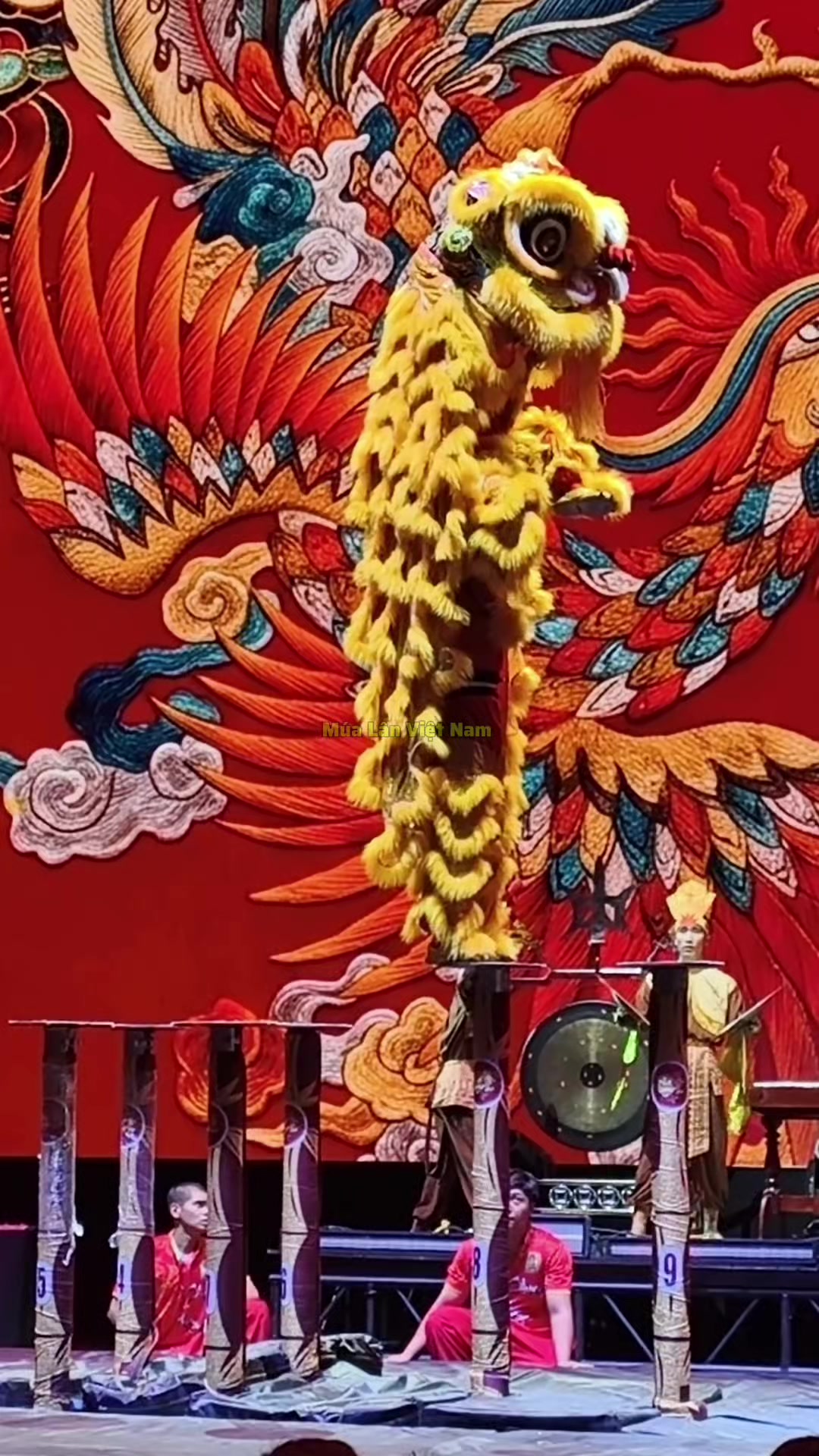 @M&uacute;a L&acirc;n Việt Nam 🇻🇳