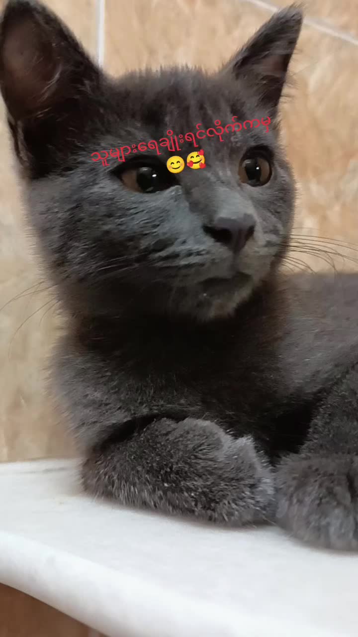 @Pa Pa Sein Pa Pa Sein