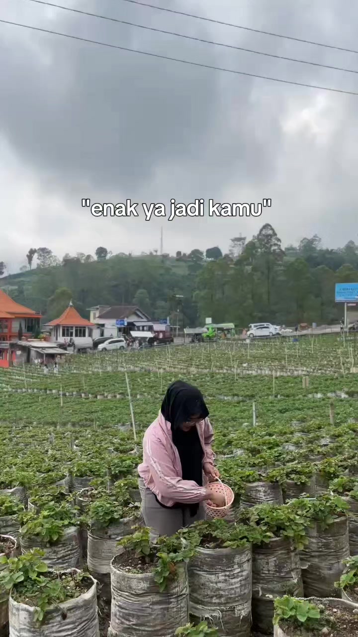 @mudhinur_