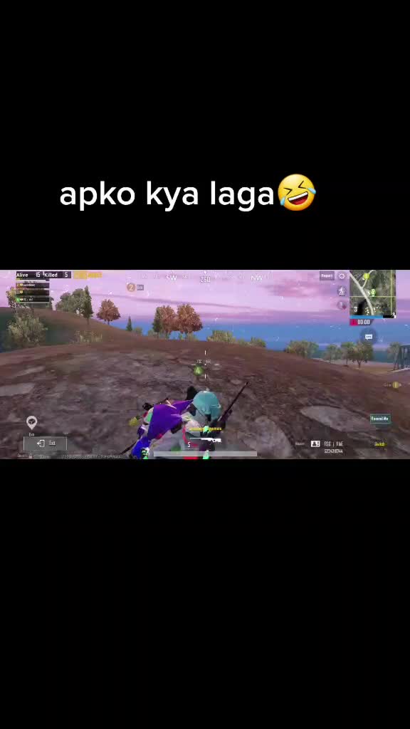 @pubgwalichori