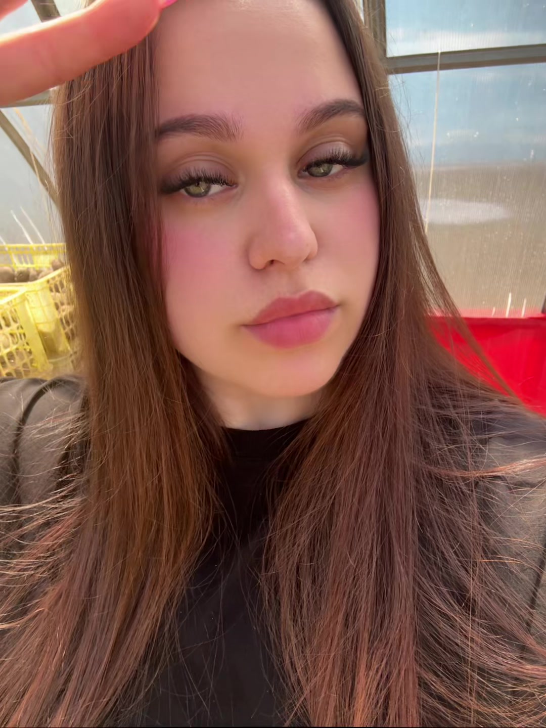 @Diana ₍^. .^₎⟆