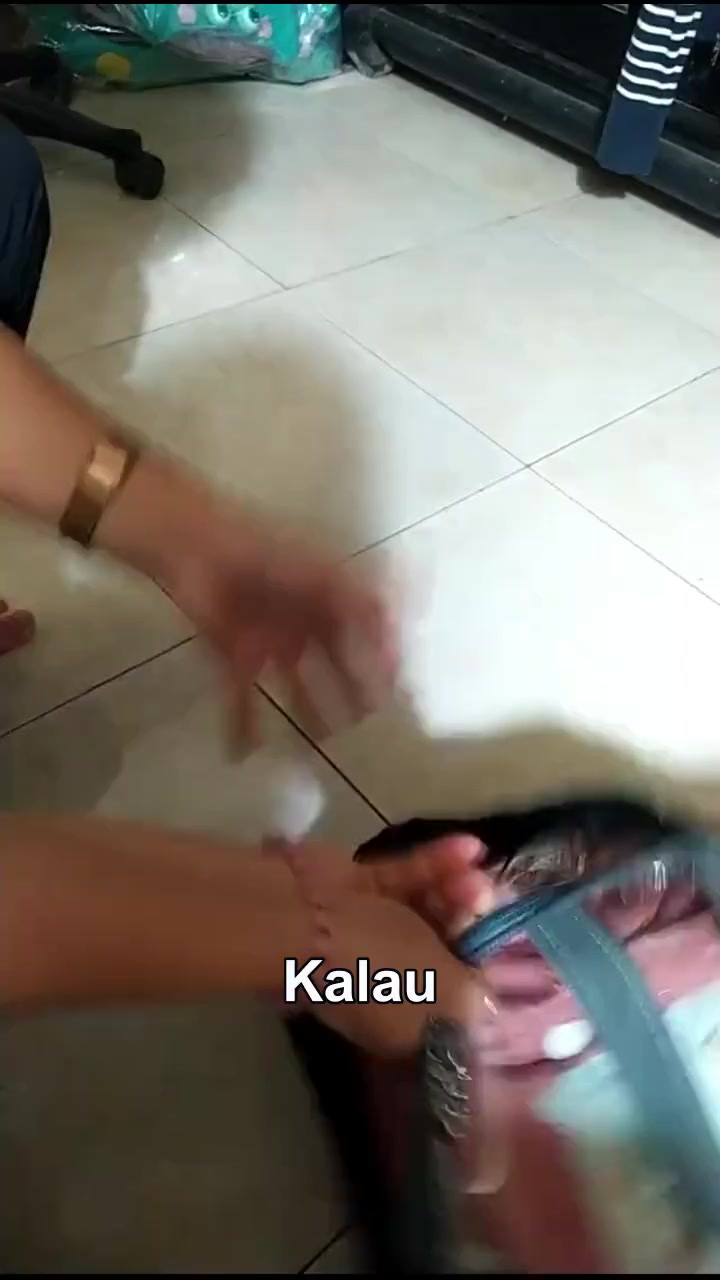 @Bapaknya Aca