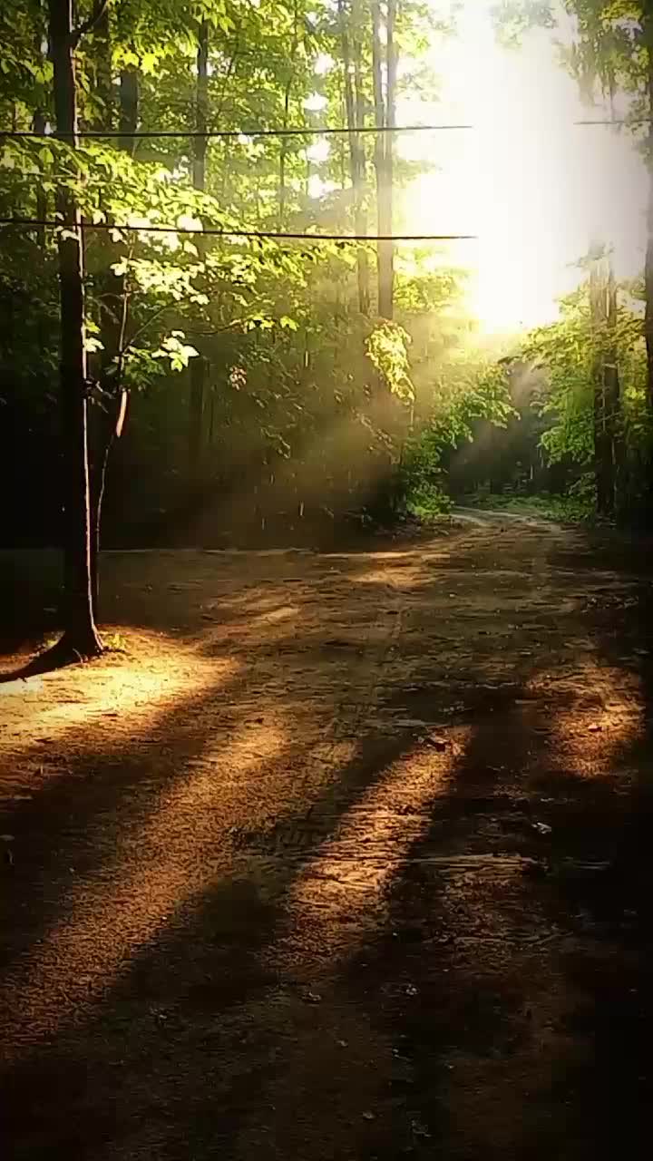 @J🌼i🌼L🌼L