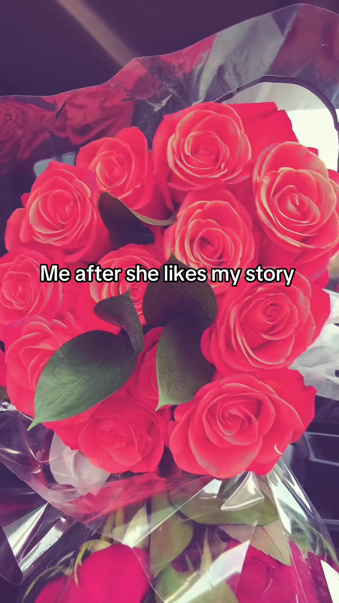 @Rigo