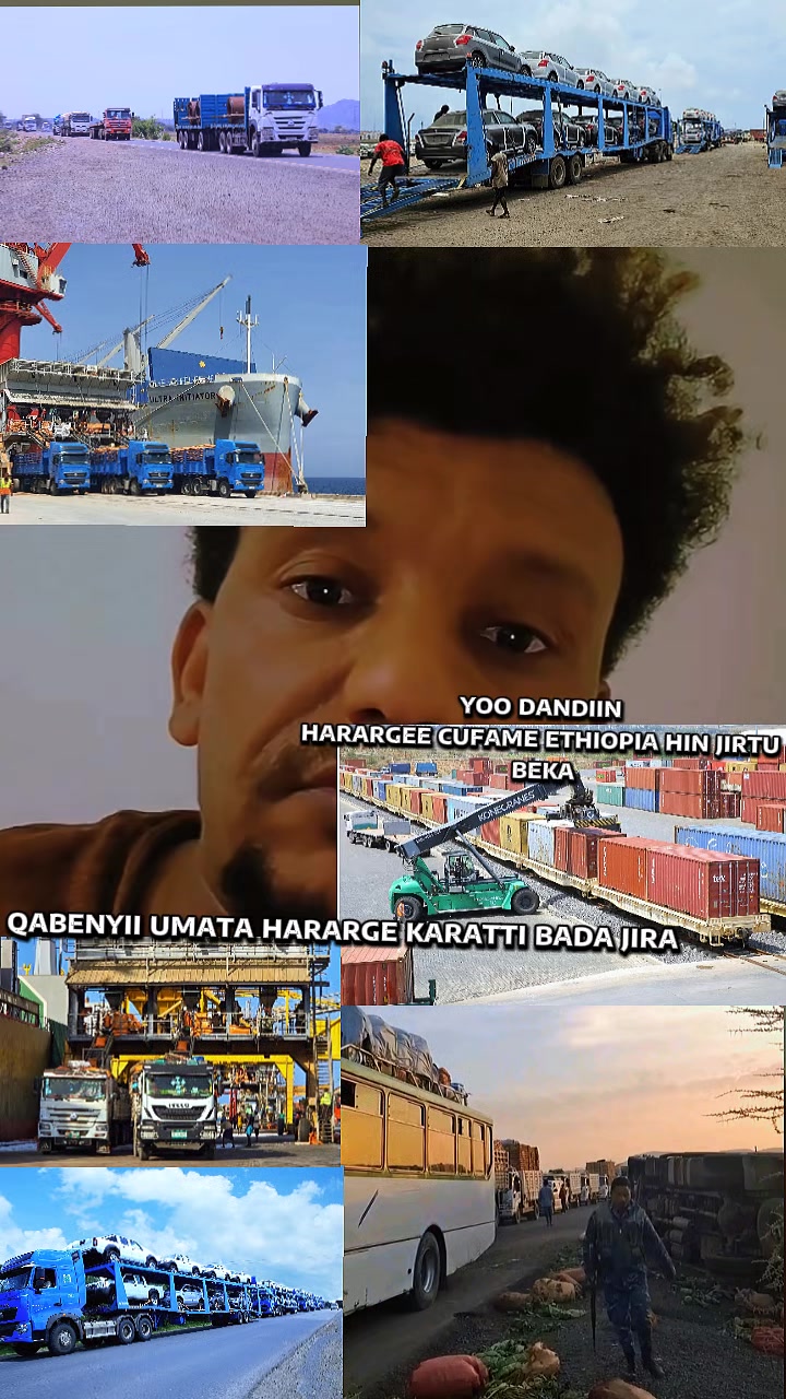 @𝗡𝗢𝗩𝗔