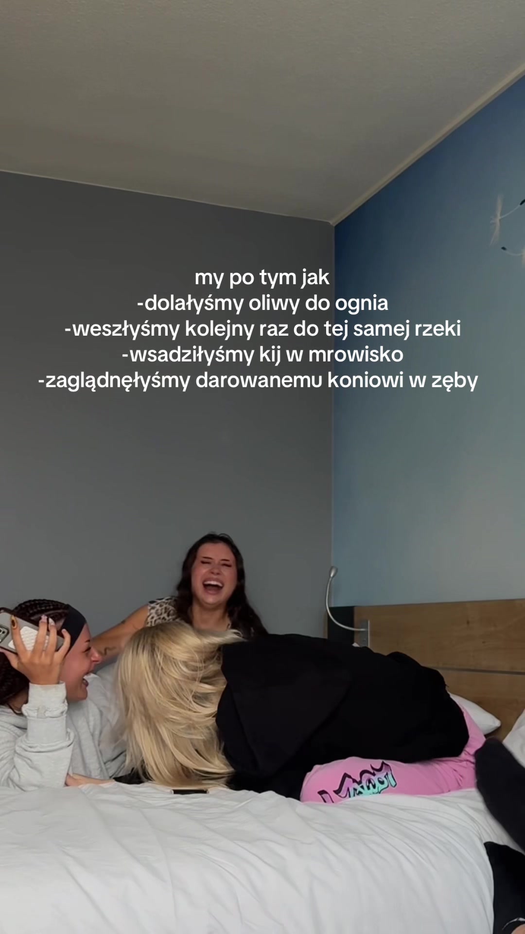 @zimnefrytki