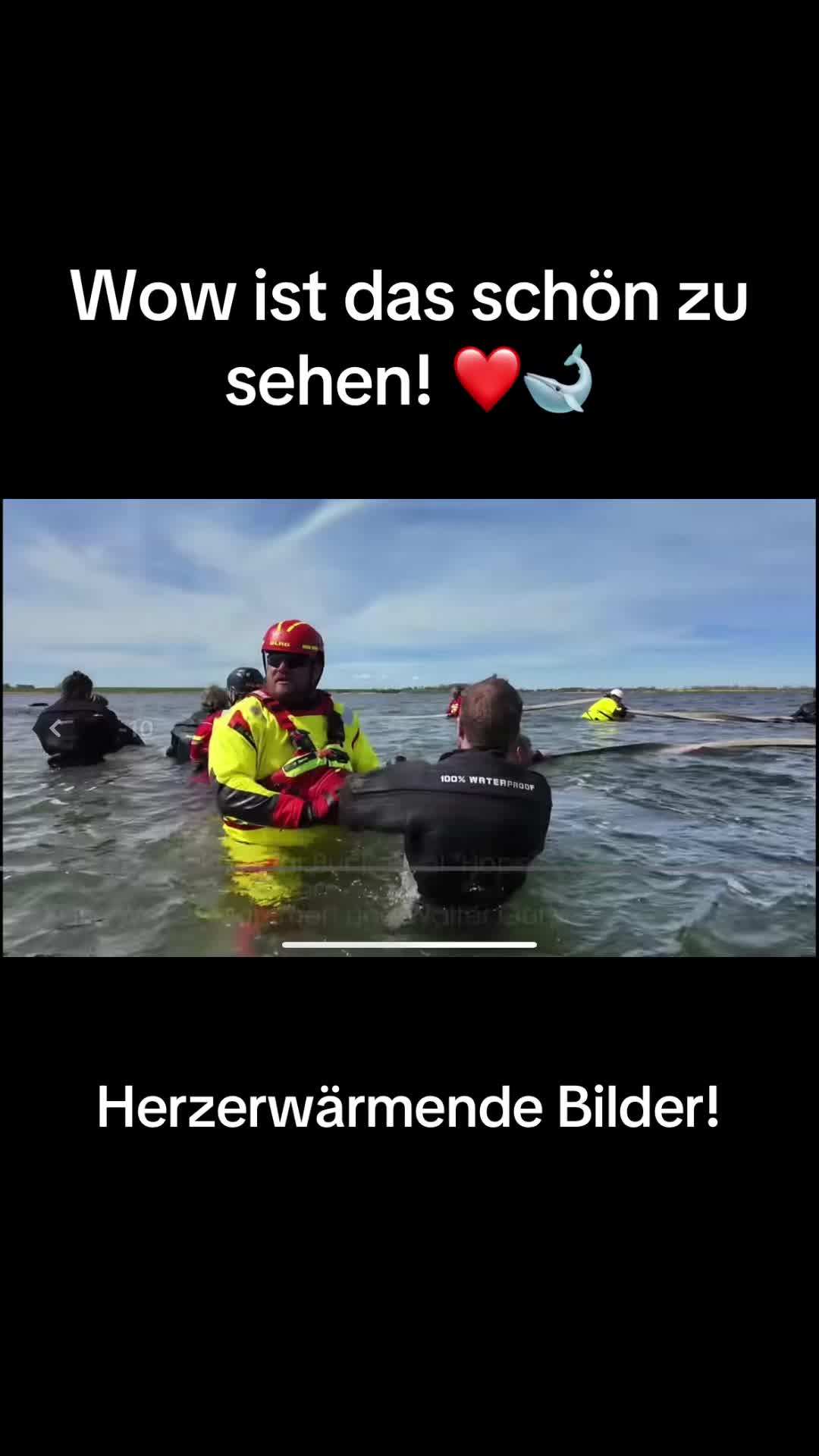 @Rettet Hope 🐋