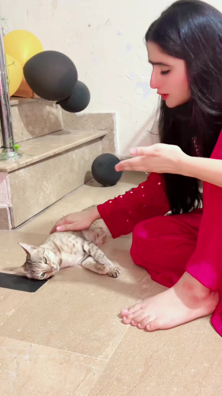 @Muneeba khan⭐️